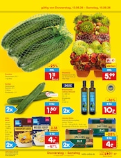 Zucchini im Netto Marken-Discount Prospekt in Ulm Aktueller Netto Marken-Discount Prospekt mit Zucchini, "Aktuelle Angebote", Seite 51