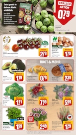 Bio im REWE Prospekt in Siegburg Aktueller REWE Prospekt mit Bio, "Dein Markt", Seite 13