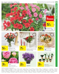 Offre Jardinière De Fleurs dans le catalogue Carrefour du moment à la page 47