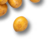 Dtsch./franz. kleine Speisefrühkartoffeln im Angebot bei Kaufland in Rastatt Dtsch./franz. kleine Speisefrühkartoffeln Angebote bei Kaufland Rastatt für 1,49 €