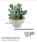 GILLIAN Kunstpflanze von  im aktuellen JYSK Prospekt für 12,50 €