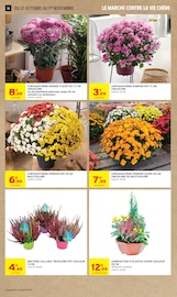 Promos Chrysanthèmes dans le catalogue "-60% DE REMISE IMMÉDIATE SUR LE 2ÈME" de Intermarché Super Chrysanthèmes en promo dans le catalogue Intermarché Super à la page 14