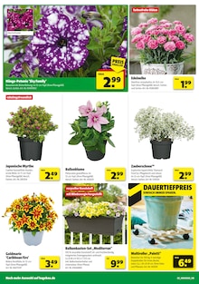 Hagebaumarkt Prospekt der Woche "Sonnenstrom tanken? SO günstig geht das!" Seite 2, 10.05.2025 bis 17.05.2025 für Munster Aktueller Hagebaumarkt Prospekt "Sonnenstrom tanken? SO günstig geht das!" Seite 2 von 16 Seiten für Munster