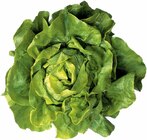 Deutschland Kopfsalat im aktuellen Prospekt bei E center in Emsdetten