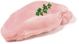 Frische Putenbrust im aktuellen Netto mit dem Scottie Prospekt