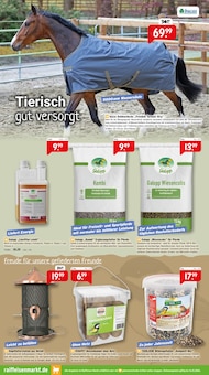 Vogelhaus im Raiffeisenmarkt Prospekt "Gartenfreude im Herbst" mit 8 Seiten (Bremen)