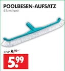 POOLBESEN-AUFSATZ im Angebot bei Wreesmann in Weimar POOLBESEN-AUFSATZ Angebote bei Wreesmann Weimar für 5,99 €