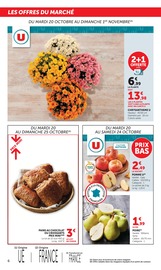 Promos Plante Verte dans le catalogue "Halloween À PRIX BAS" de U Express Plante Verte en promo dans le catalogue U Express à la page 6