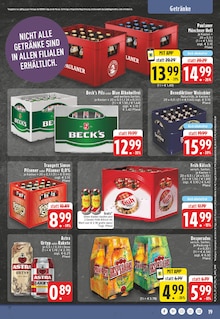 Feuerwerk im E center Prospekt "Aktuelle Angebote" mit 24 Seiten (Bonn)