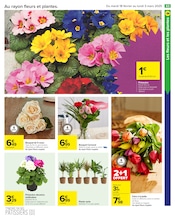 Plante Verte Angebote im Prospekt "Carrefour" von Carrefour auf Seite 65