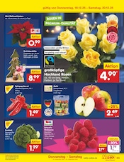 Äpfel im Netto Marken-Discount Prospekt in Hennef Aktueller Netto Marken-Discount Prospekt mit Äpfel, "Aktuelle Angebote", Seite 41
