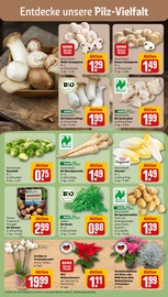 Pflanzen im REWE Prospekt in Zwickau Aktueller REWE Prospekt mit Pflanzen, "Dein Markt", Seite 7