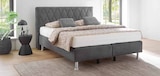 Boxspringbett bei Möbel Mahler Siebenlehn im Großschirma Prospekt für 993,00 €