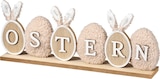 Holzschriftzug "OSTERN" mit Teddyfell & Hasenohren, beige-weiß bei dm-drogerie markt im Prospekt "" für 5,95 €