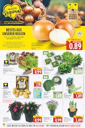 Blumen Angebot im aktuellen E center Prospekt auf Seite 3