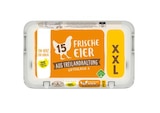 Frische Eier aus Freilandhaltung im aktuellen Lidl Prospekt für 3,99 €
