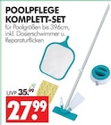POOLPFLEGE KOMPLETT-SET im Angebot bei Wreesmann in Weimar POOLPFLEGE KOMPLETT-SET Angebote bei Wreesmann Weimar für 27,99 €