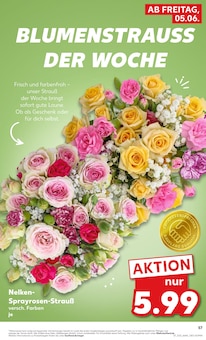 Blumen im Kaufland Prospekt "Hier bin ich richtig" mit 62 Seiten (Augsburg)