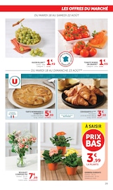 Promos Jardinage dans le catalogue "U Express" de U Express Jardinage en promo dans le catalogue U Express à la page 29
