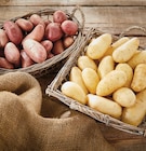 Intermarché Super Fontenay - Promo Pomme de terre de consommation à chair ferme Promo Pomme de terre de consommation à chair ferme à 1,59 € dans le catalogue Intermarché Super à Fontenay