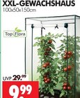 Wreesmann - XXL-GEWÄCHSHAUS Angebot im Prospekt XXL-GEWÄCHSHAUS bei Wreesmann im Prospekt "" für 9,99 €