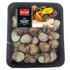 Escargots XXL préparés surgelés - ESCAL dans le catalogue Carrefour