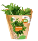 BIO-KRÄUTER Angebot im OBI Prospekt BIO-KRÄUTER im OBI Prospekt zum Preis von 2,99 €