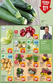 Deko im REWE Prospekt in Ingolstadt Aktueller REWE Prospekt mit Deko, "Dein Markt", Seite 7