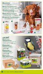 Tierbedarf Angebot & Preis im aktuellen Pflanzen Kölle Prospekt Tierbedarf Angebot im aktuellen Pflanzen Kölle Prospekt auf Seite 10