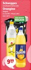 Schweppes oder Orangina bei Getränke Hoffmann im Mayen Prospekt für 9,99 €