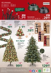 Flachbildfernseher im Selgros Prospekt in Ludwigshafen Aktueller Selgros Prospekt mit Flachbildfernseher, "cash & carry", Seite 8