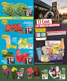 Deko-Pflanzen im EDEKA Prospekt Deko-Pflanzen im EDEKA Prospekt "Wir lieben Lebensmittel." auf Seite 3