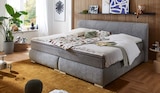 Aktuelle Bett Angebote bei Möbel Martin in Mannheim Aktuelles Boxspringbett Angebot bei Möbel Martin in Mannheim ab 999,00 €