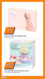 Aktueller Action Prospekt mit Deko, "Wochenangebote", Seite 11