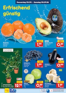 Vollwaschmittel im aktuellen Netto Marken-Discount Prospekt (Dresden) Vollwaschmittel im Netto Marken-Discount Prospekt "Aktuelle Angebote" mit 70 Seiten (Dresden)