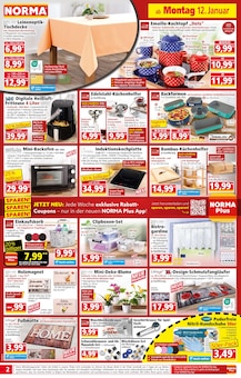 Blumen im Norma Prospekt "Mehr fürs Geld" mit 20 Seiten (Jena)