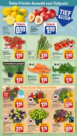 Cherry Angebot im REWE Prospekt, gültig von 30.05.2023 bis 03.06.2023 Cherry Angebot im aktuellen REWE Prospekt auf Seite 5