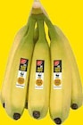 Bananen von Gut & Günstig für 1,00 € bei EDEKA im Angebot Bananen von Gut & Günstig im aktuellen EDEKA Prospekt
