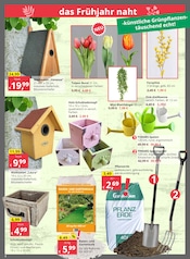 Garten im Bauzentrum Reinholdshain Prospekt in Freital Aktueller Bauzentrum Reinholdshain Prospekt mit Garten, "REGIONAL.KOMPETENT.ZUVERLÄSSIG.", Seite 2