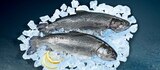 Netto Marken-Discount Wismar - Regenbogen-Forelle Angebot im Prospekt Regenbogen-Forelle bei Netto Marken-Discount im Wismar Prospekt für 1,19 €