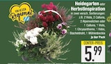 Heidegarten im EDEKA Prospekt Heidegarten im aktuellen EDEKA Prospekt für 5,99 €
