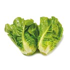 Mini Romana von GO Regio für 0,89 € bei Netto mit dem Scottie im Angebot Mini Romana von GO Regio im aktuellen Netto mit dem Scottie Prospekt