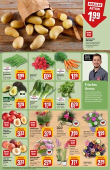 Pflanzen im aktuellen REWE Prospekt (Mönchengladbach) Pflanzen im REWE Prospekt "Dein Markt" mit 24 Seiten (Mönchengladbach)