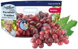Paradies-Trauben hell Angebote von San Lucar bei REWE Herne für 1,99 €