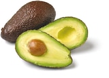Avocado vorgereift für 0,89 € bei Netto mit dem Scottie im Angebot Avocado vorgereift im aktuellen Netto mit dem Scottie Prospekt