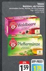 Waldbeere im Angebot bei EDEKA in Chemnitz Waldbeere Angebote von Teekanne bei EDEKA Chemnitz für 1,39 €