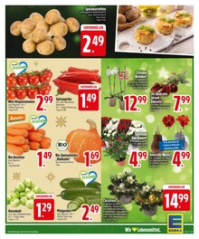 Kürbis im EDEKA Prospekt "FEIERT WEIHNACHTEN WIE IHR WOLLT!" mit 30 Seiten (München)