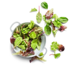 Aktuelles Rucola Angebot bei Kaufland in Nürnberg ab 0,79 €