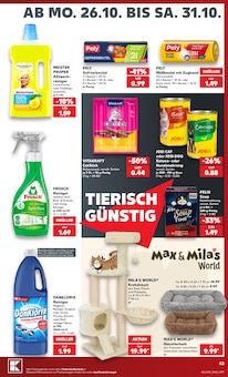 Mülleimer im aktuellen Kaufland Prospekt (Bochum) Mülleimer im Kaufland Prospekt "Hier bin ich richtig" mit 80 Seiten (Bochum)