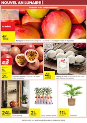 Bambou Angebote im Prospekt "NOUVEL AN LUNAIRE" von Carrefour auf Seite 24